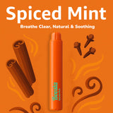Boosta Stick | Electric Nasal Inhaler | Spiced Mint 3 Pack